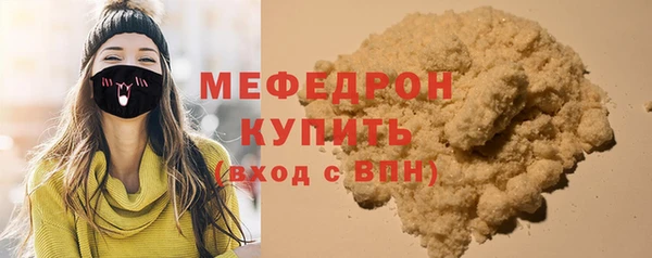 spice Инта