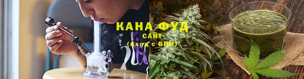 spice Инта