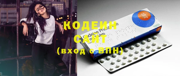 хмурый Каменногорск
