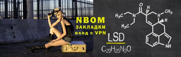 spice Инта