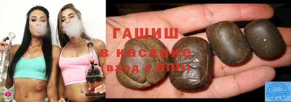 spice Инта