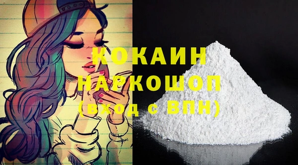 хмурый Каменногорск