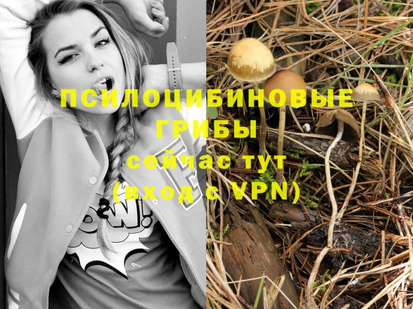 бутират Иннополис