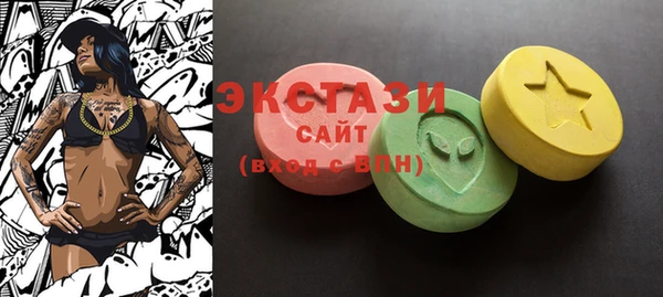 spice Инта